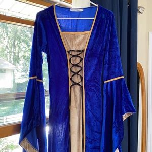 Royal blue and gold renaissance dress/costume